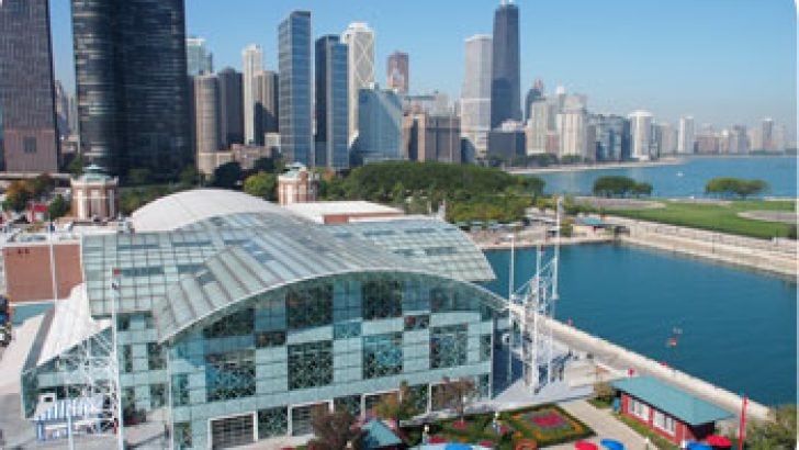 Navy Pier Ferris Wheel