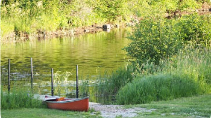 Red Canoe by River